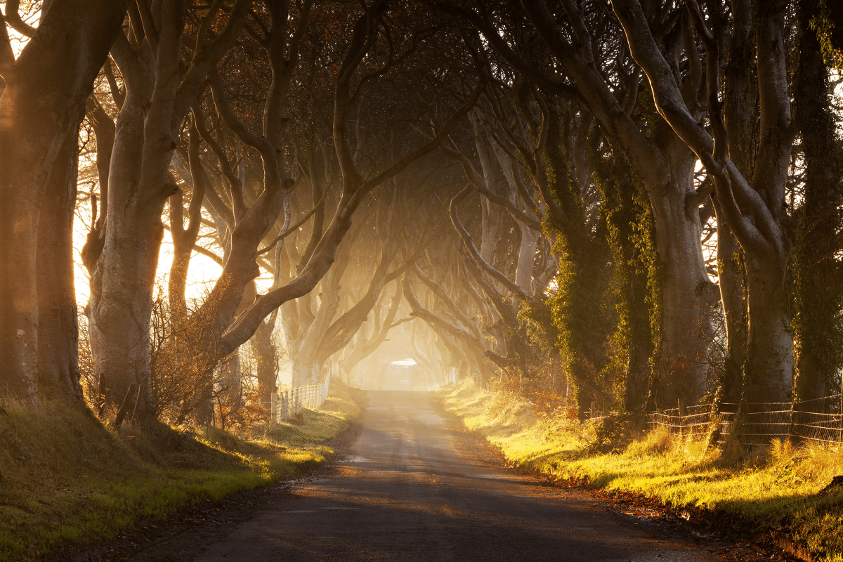 Locaties die je herkent uit Game of Thrones