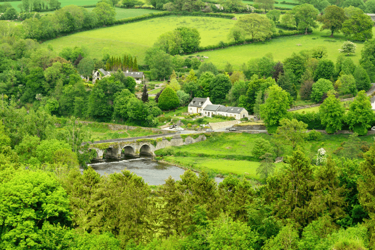 europe-ireland-kilkenny-nature-green-fields