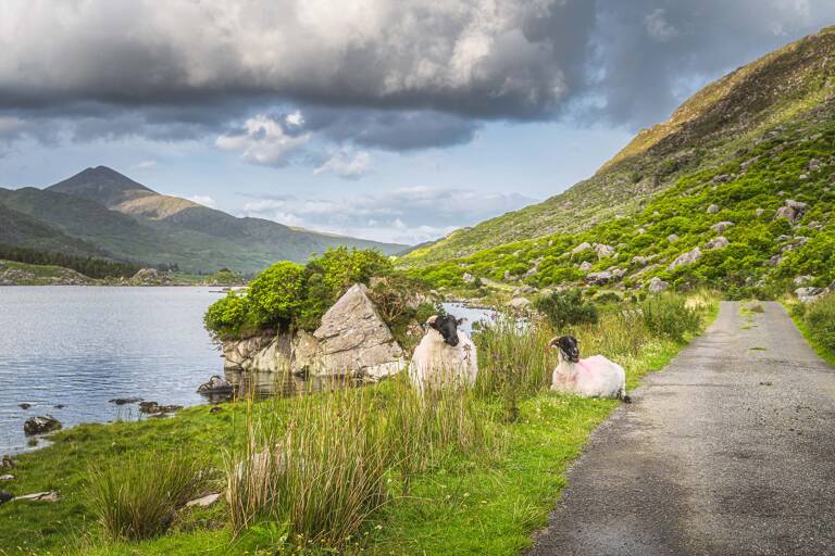 europe-ireland-wild-atlantic-way-roadtrip-01