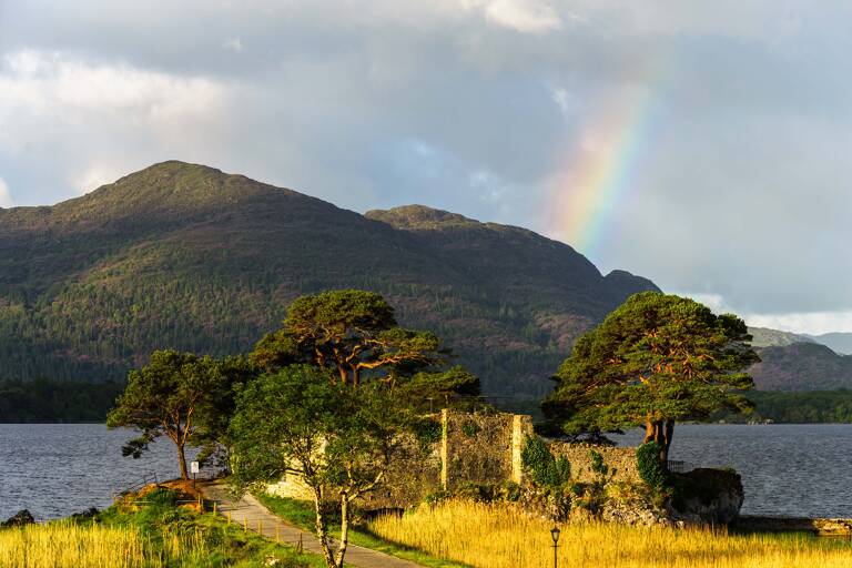 europe-ireland-wild-atlantic-waynature