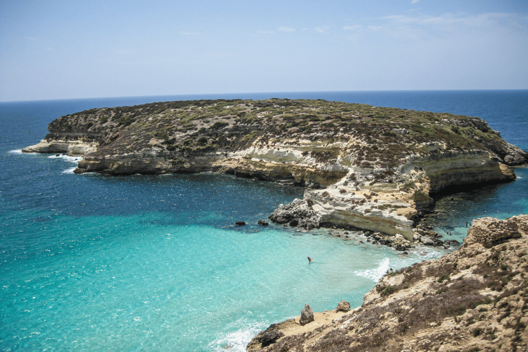 europe-italy-lampedusa-rabbit-beach-white-sand