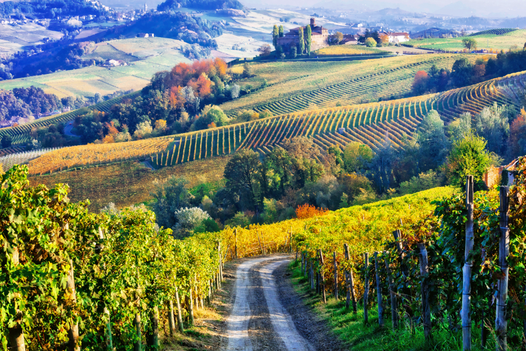 europe-italy-north-vineyards