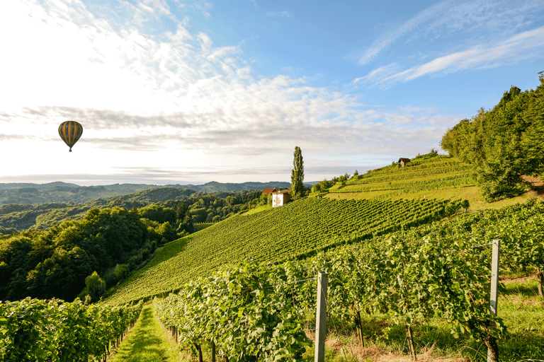 europe-italy-tuscany-hot-air-balloon-winery-vineyard