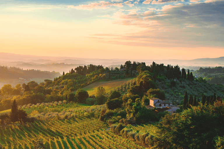 europe-italy-tuscany-wine-field-sunrise