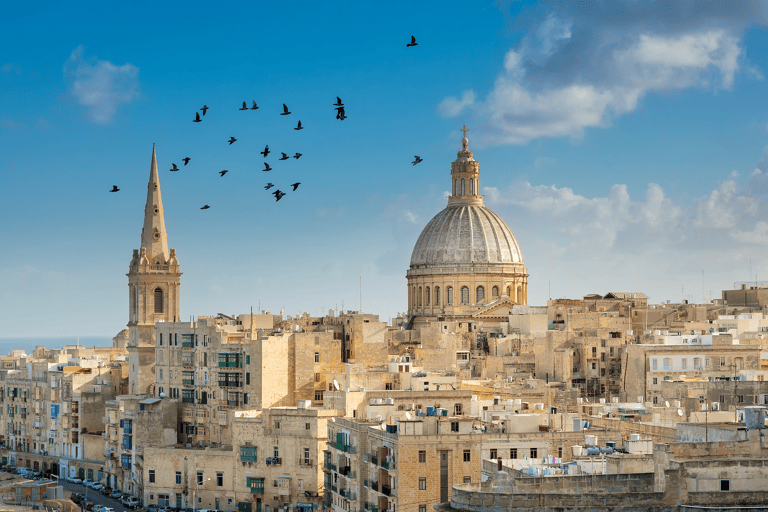 europe-malta-valetta-birds