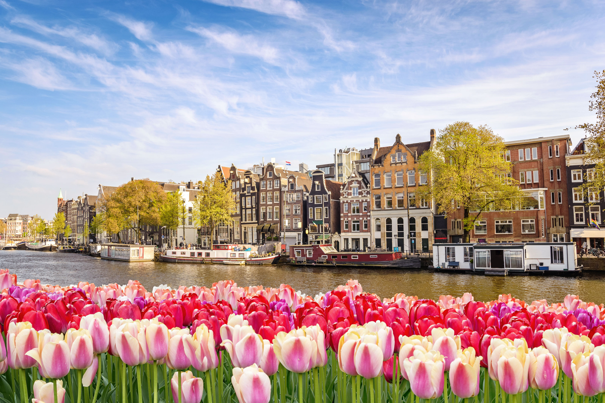 Amsterdam travel survival guide