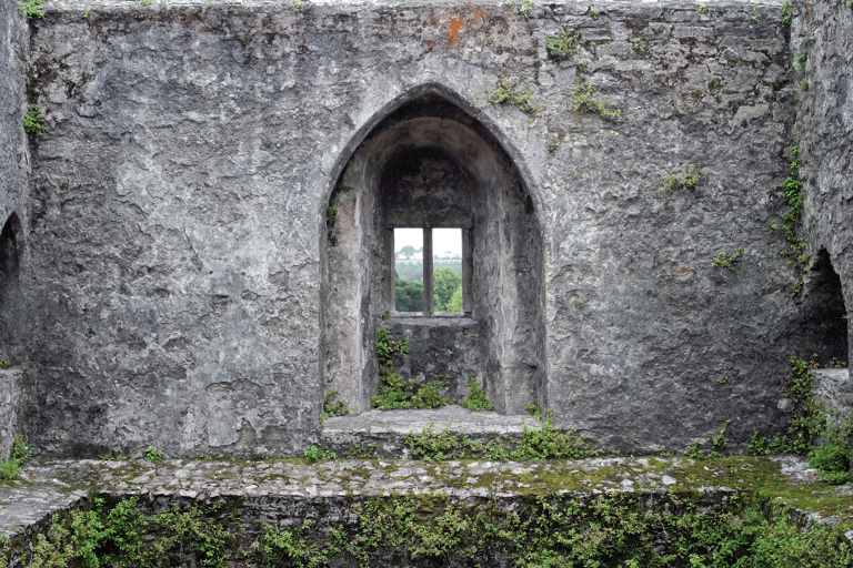 europe-northern-ireland-castle-window