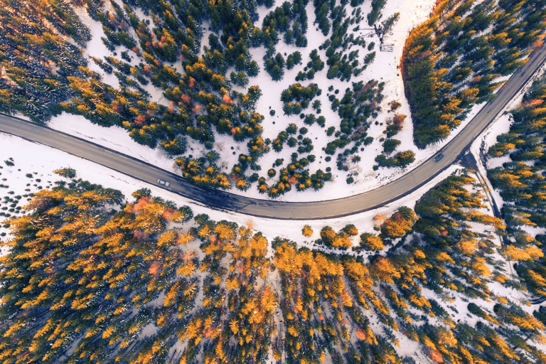 europe-norway-general-road-through-forest-snow