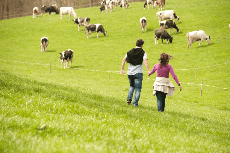 europe-slovenia-couple-cow-pasture
