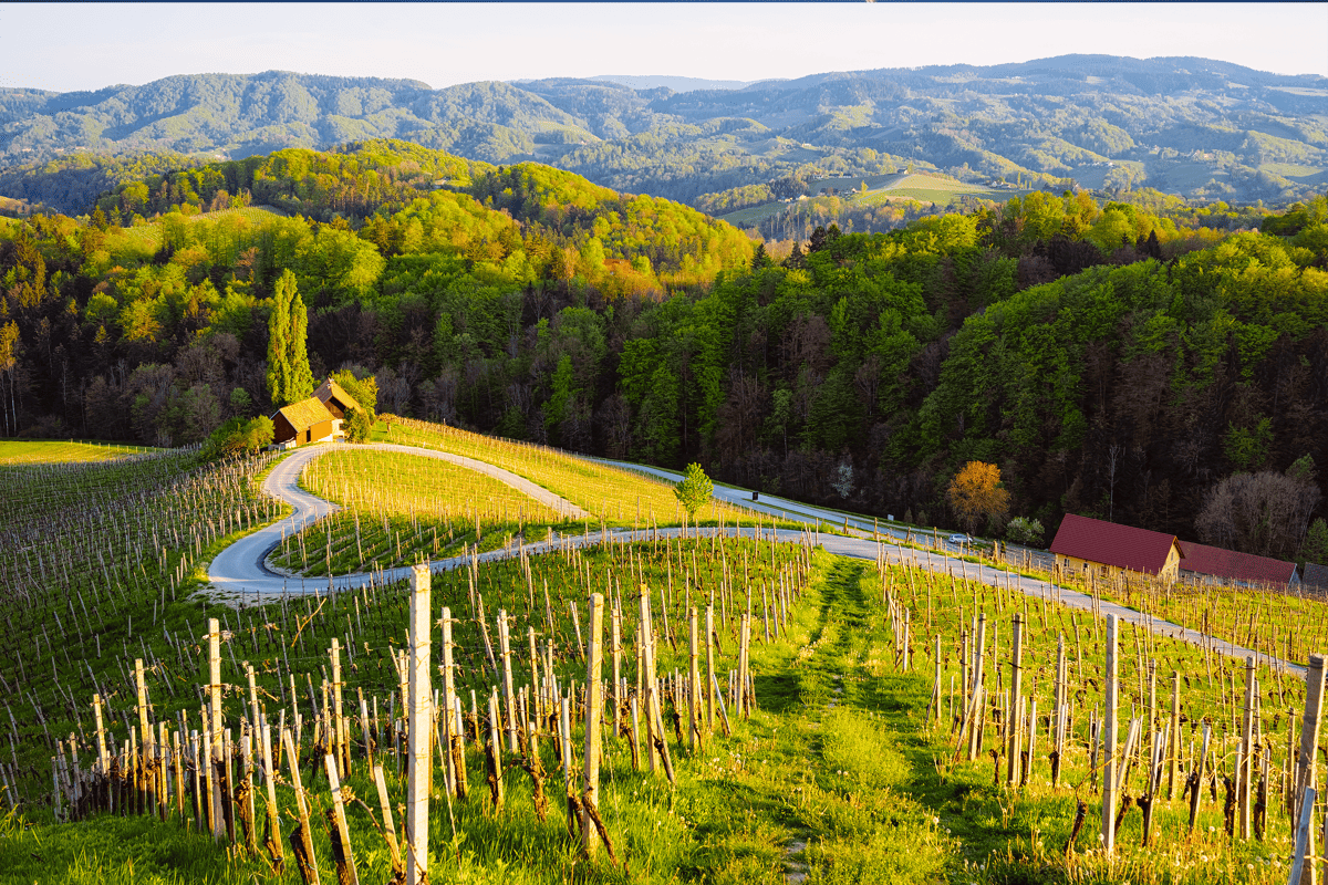 De 5 spots voor een perfecte roadtrip in Slovenië