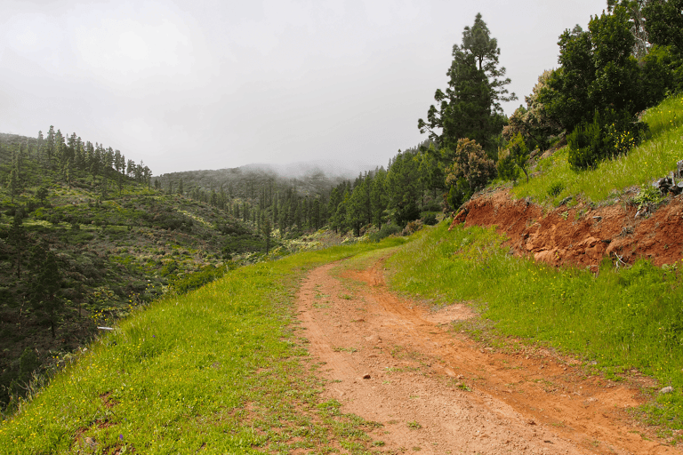 europe-spain-canary-islands-la-gomera-parque-nacional-de-garajonay