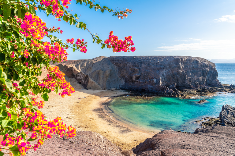 europe-spain-canary-islands-lanzarote-beach-flowers
