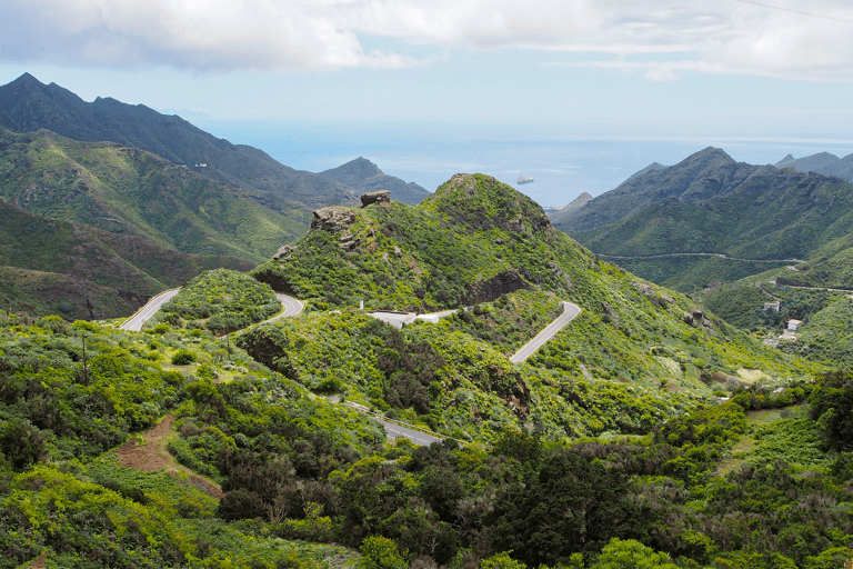 europe-spain-canary-islands-tenerife-anaga-rural-park-view