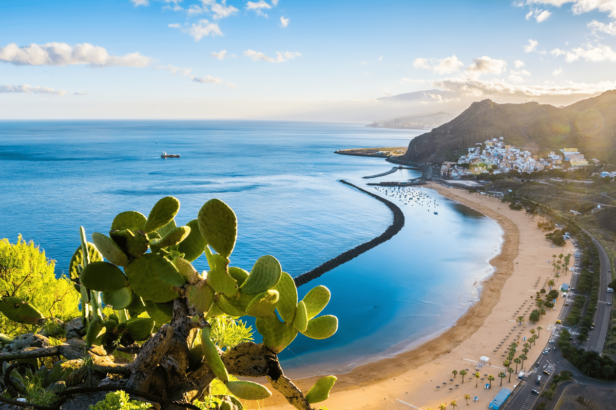 Le Guide des îles Canaries