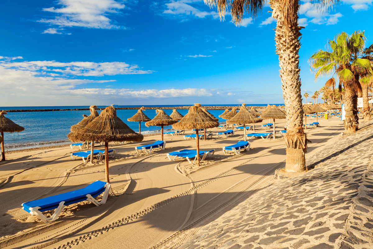 Explore Tenerife in your way