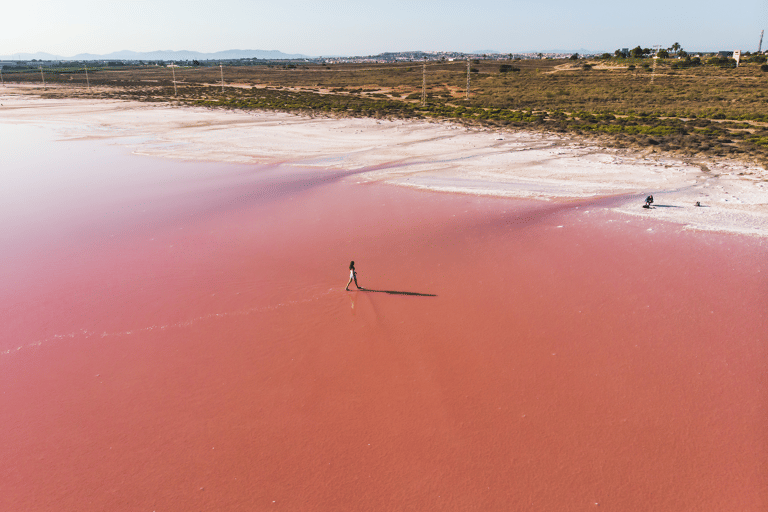 europe-spain-valencia-las-salinas-de-toorevieja-pink-lake