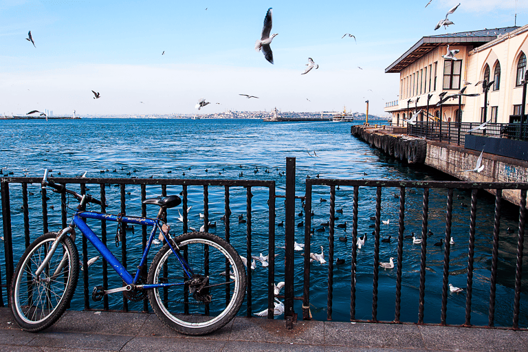 europe-turkey-istanbul-view-river-seagulls