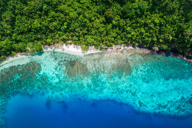 expedition-robinson-island-2019