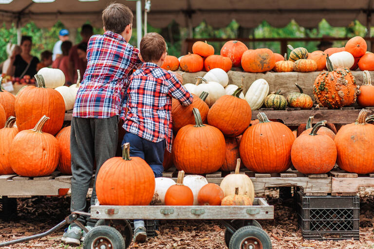 general-boys-at-pumpkin-festival