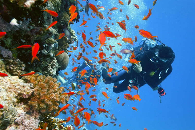 general-diving