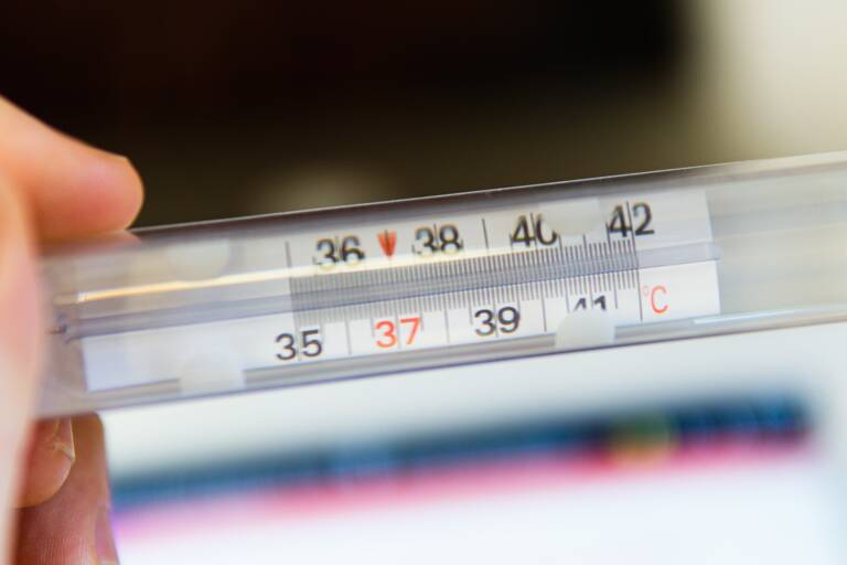 general-mercury-thermometer