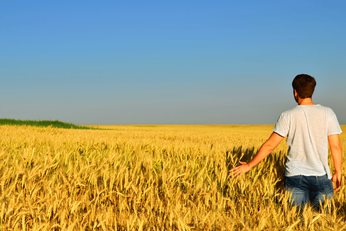 Haal het meeste uit je budget: WWOOF'end de wereld over