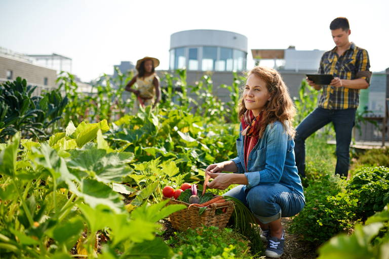 general-traveler-farmwork-woman-with-crops