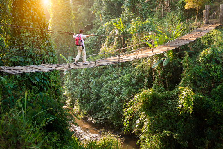 generic-backpacker-in-rainforest