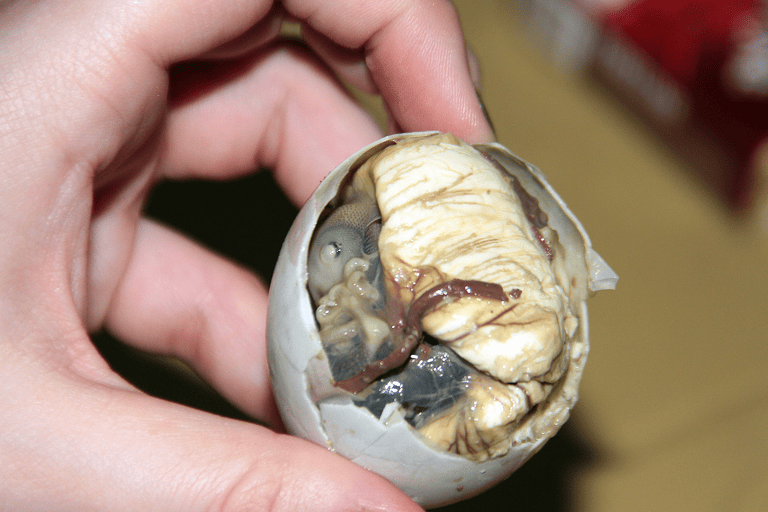 generic-balut-egg
