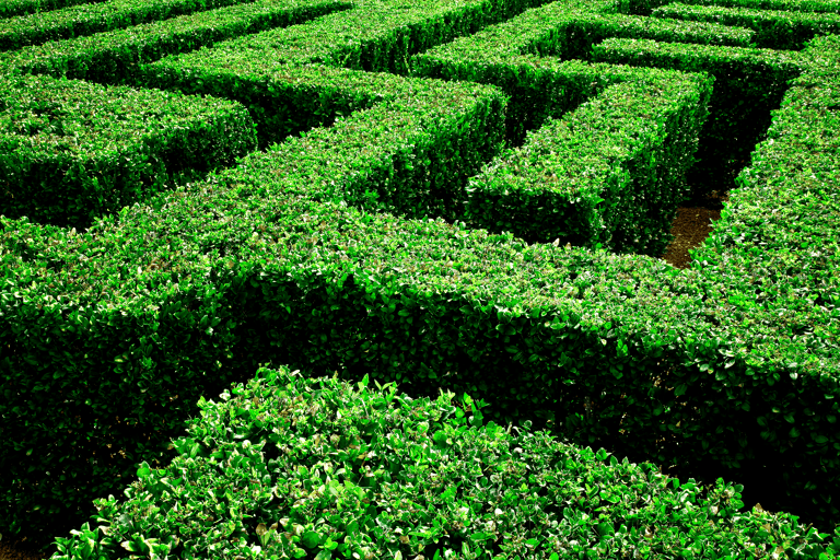 generic-botanical-garden-maze