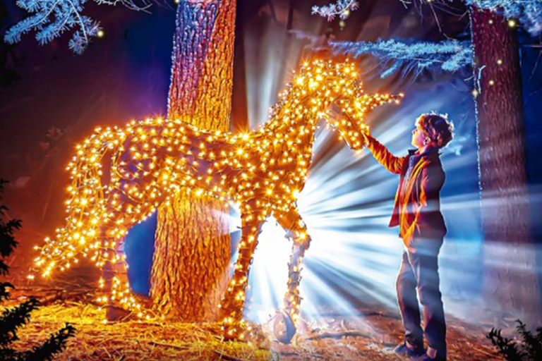 generic-christmas-garden-madrid