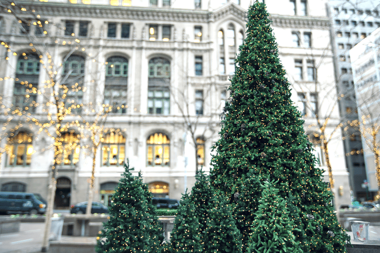 generic-christmas-tree-in-new-york