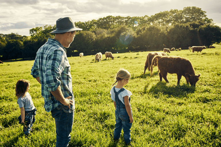 generic-family-farm-cows