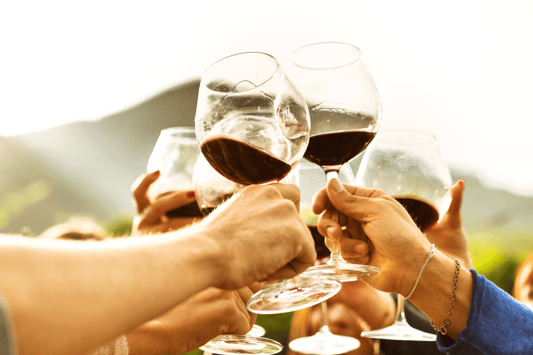 generic-gathering-drinking-wine-friends