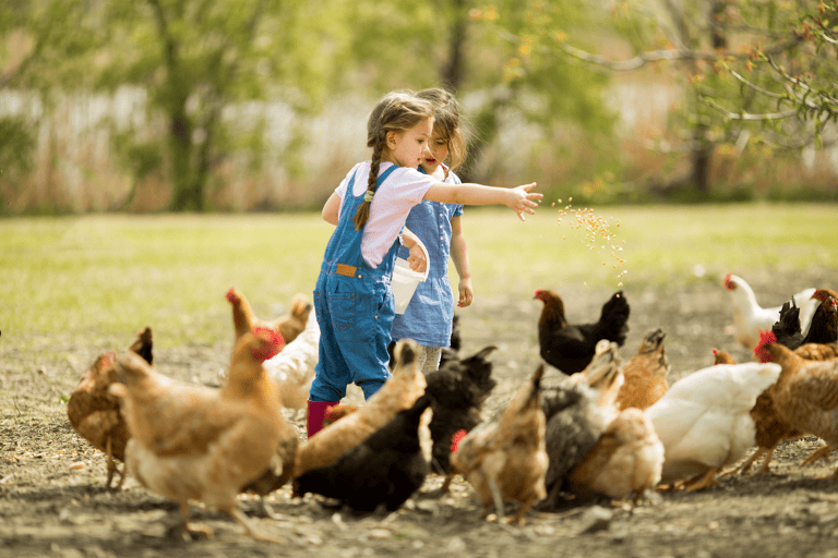 generic-girls-feeding-chickens-farm