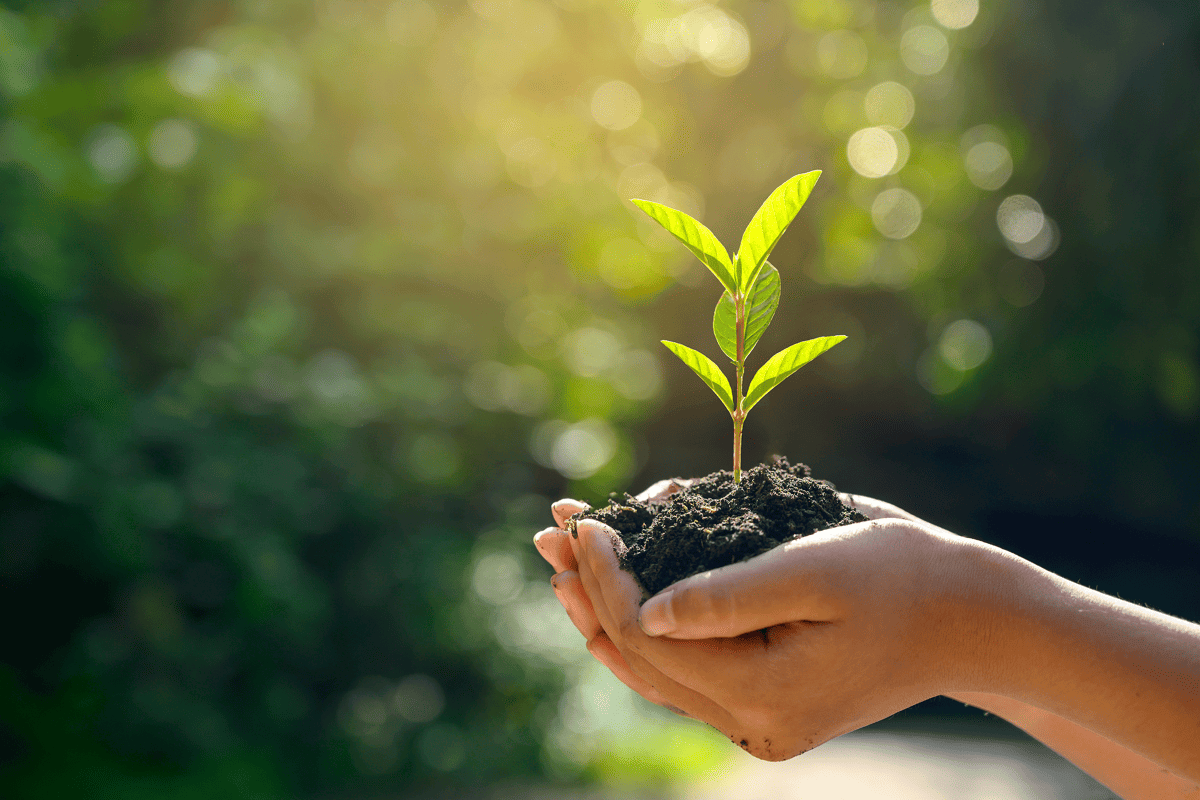 Going Green. Eco-Friendly Travel Accessories