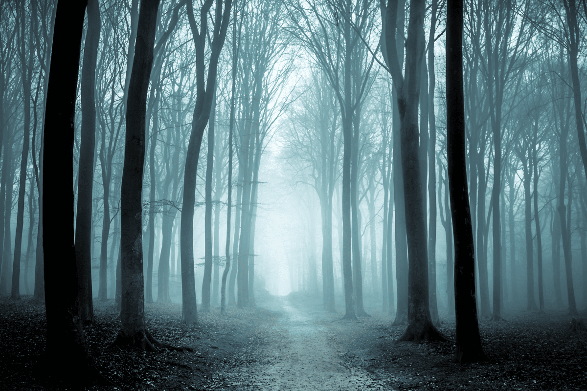 The 4 Eerie places in Europe that will terrify you