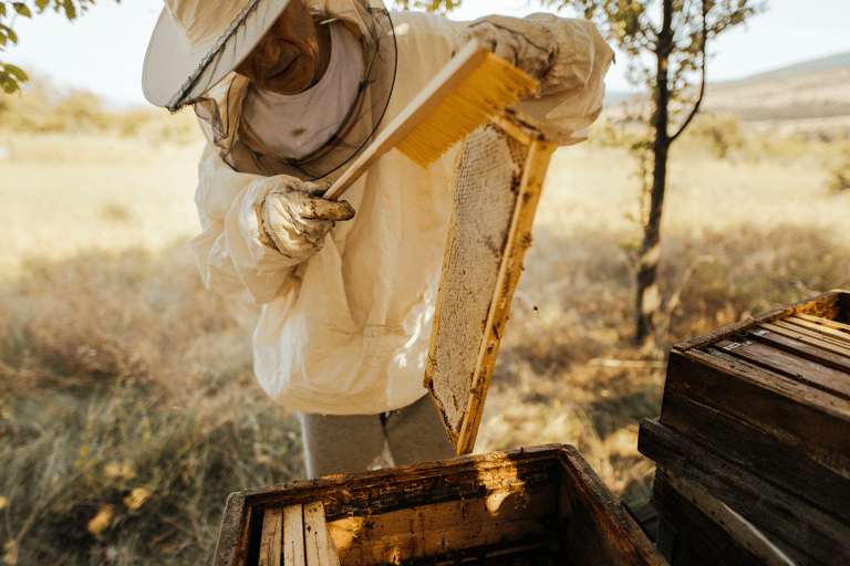 generic-honeybee