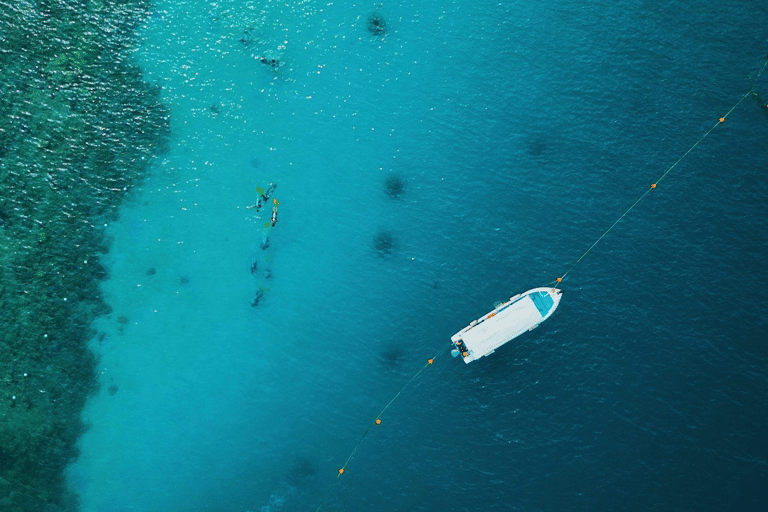 generic-ocean-diving