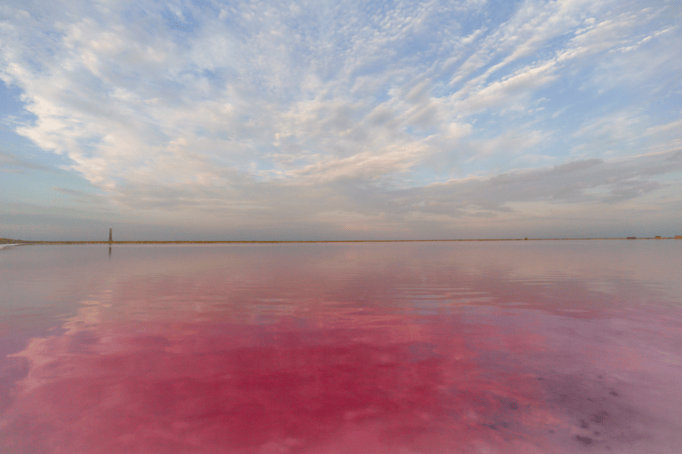 generic-pink-lake-2
