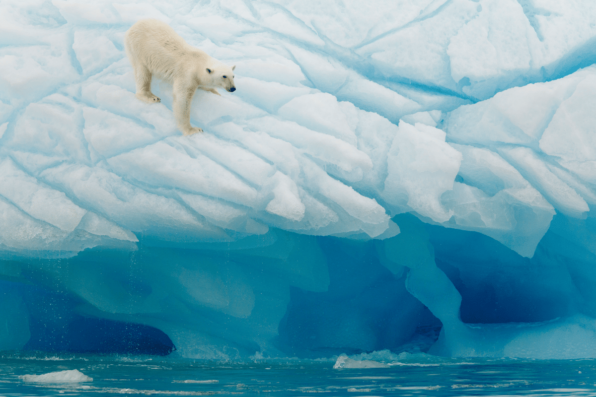 6 fantastische winterse wonderen over de hele wereld
