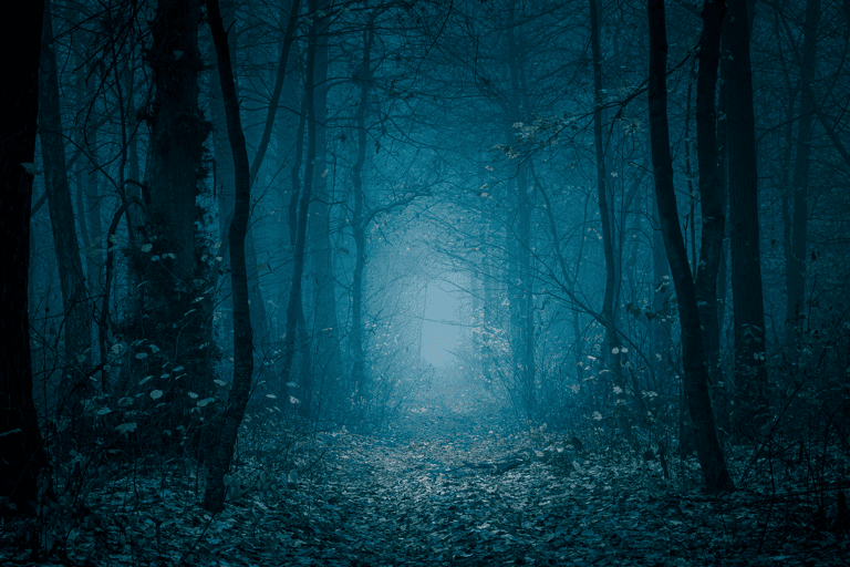 generic-scary-forest