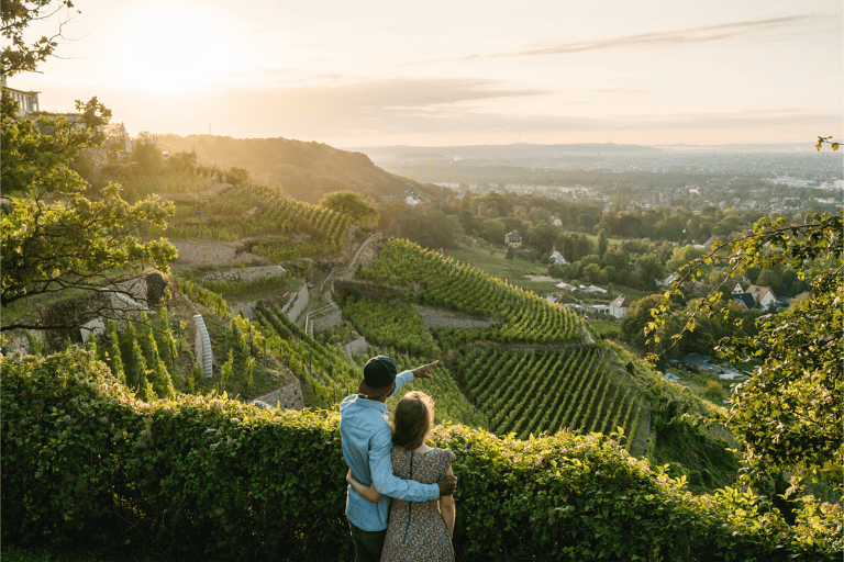 germany-dresden-vineyards-TB