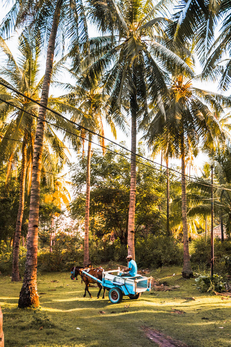 gili-air-guestblogger-SALTINOURHAIR
