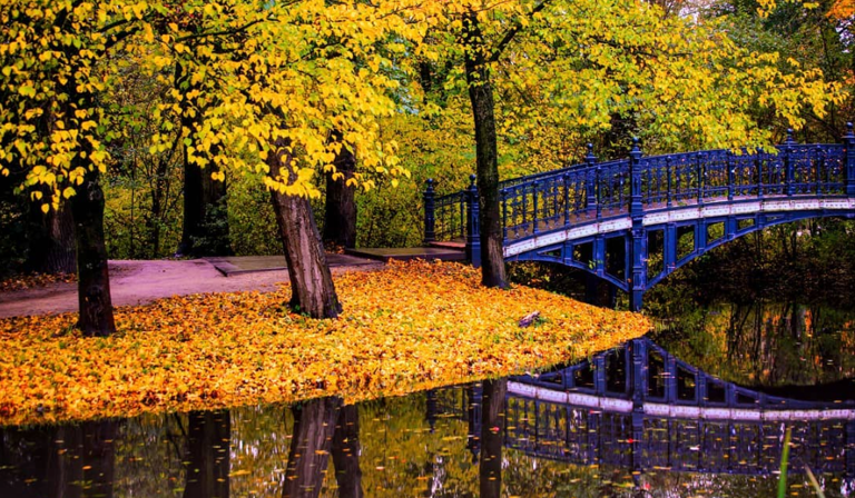 instagram-amsterdam-vodelpark
