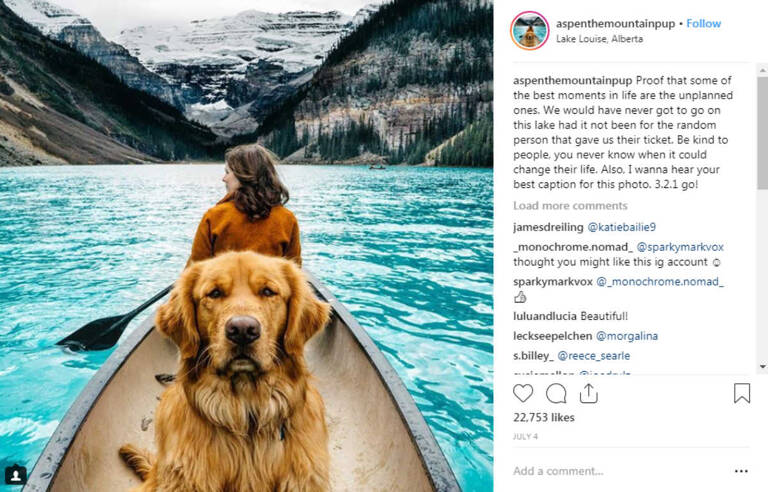 instagram-pets-aspen