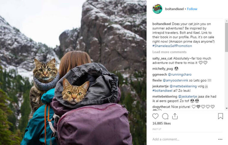 instagram-pets-bolt-keel