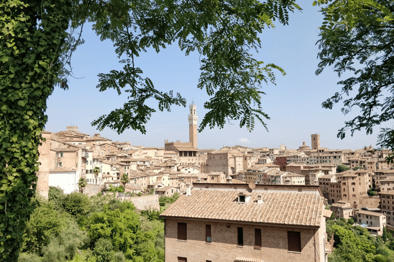 italy-tuscany-foto-van-marloes-4