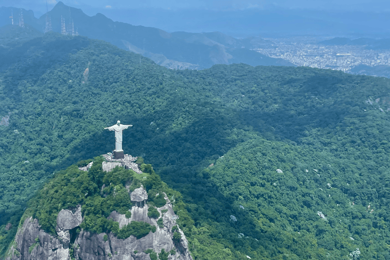 jillian-brasil-statue