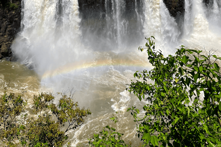 jillian-brasil-waterfall